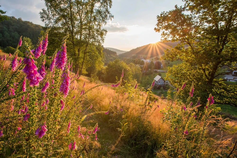 Sauerland Pachtobjekte