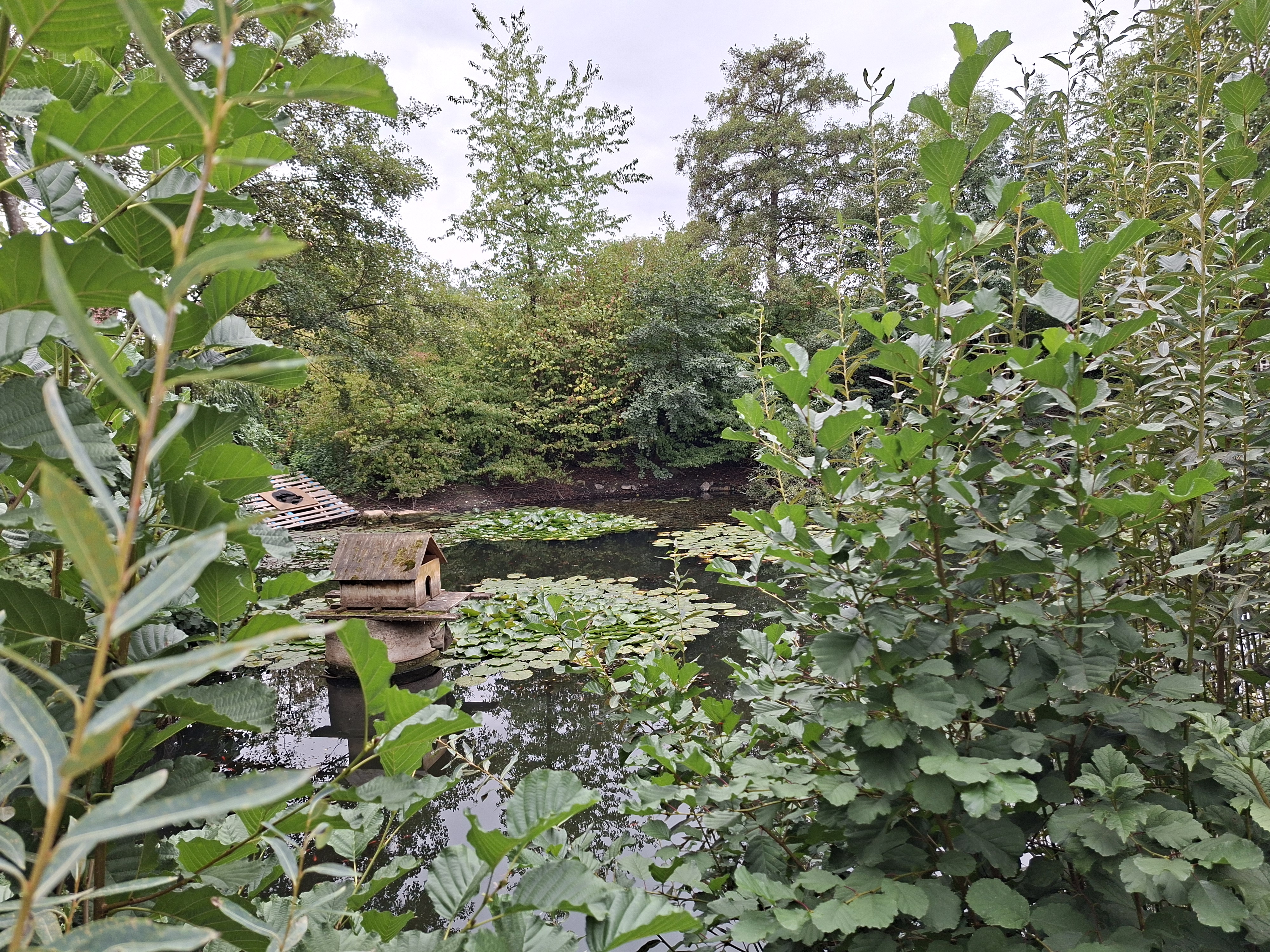 Gastronomie kaufen pachten: Blick von der Terrasse auf den See. - Vereinsheim Bezgenriet