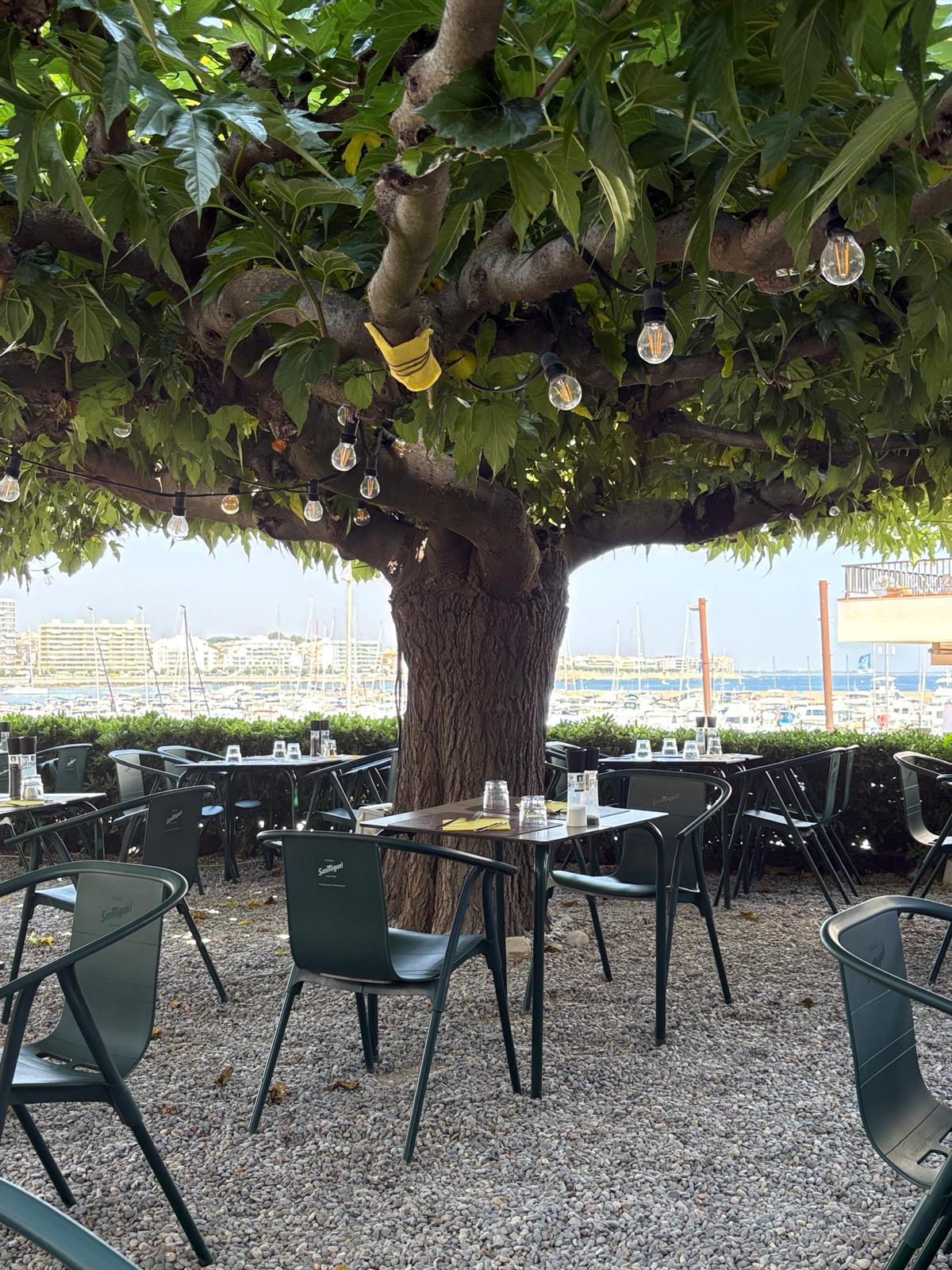 Gastronomie kaufen pachten: La Gavina, L'Escala, Costa Brava, funktionierendes Restaurant an erster Meereslinie