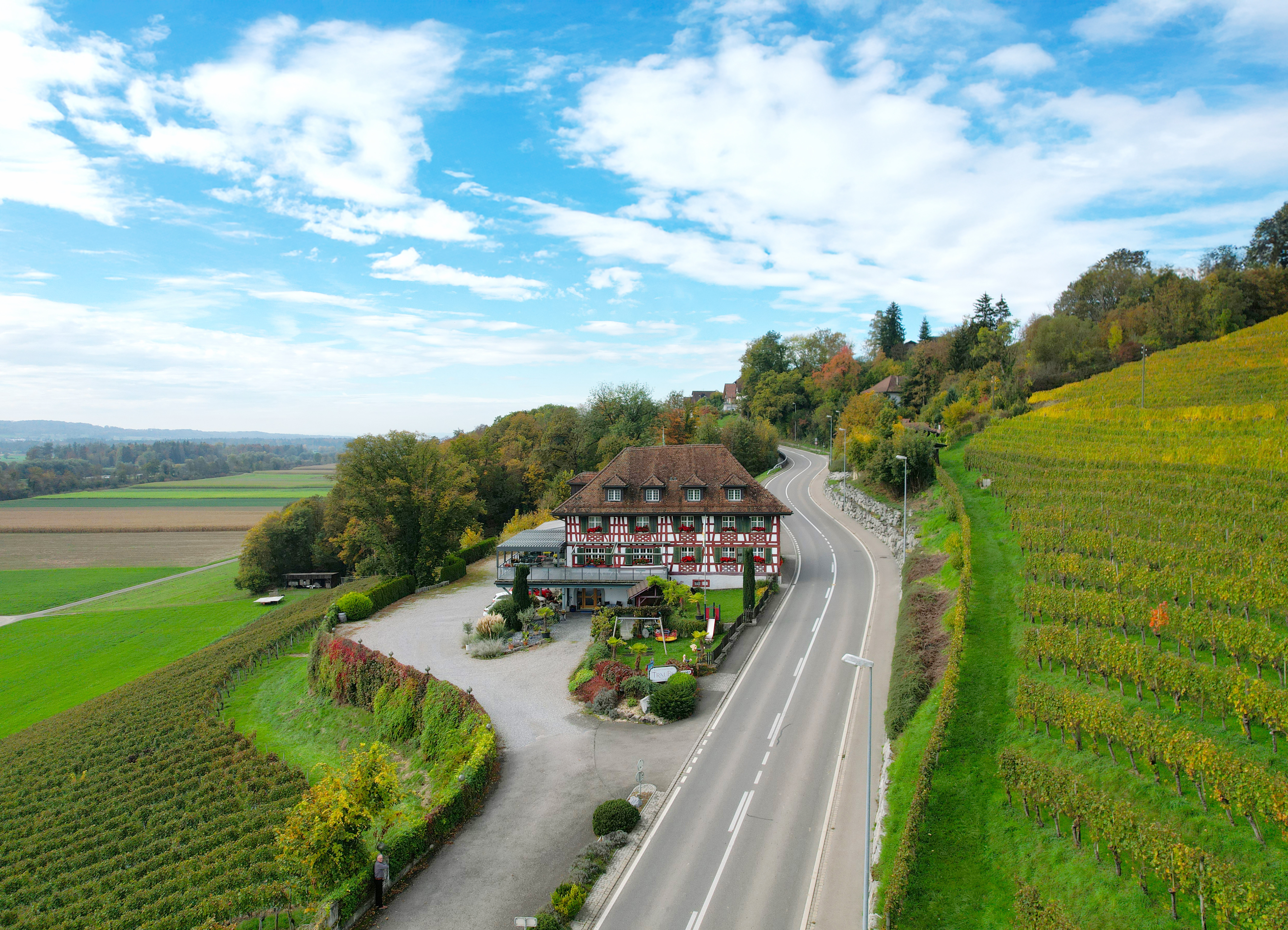 Hotel Immobilien - Landeszuordnung: Schweiz - Ausflugsrestaurant Traube Dietingen