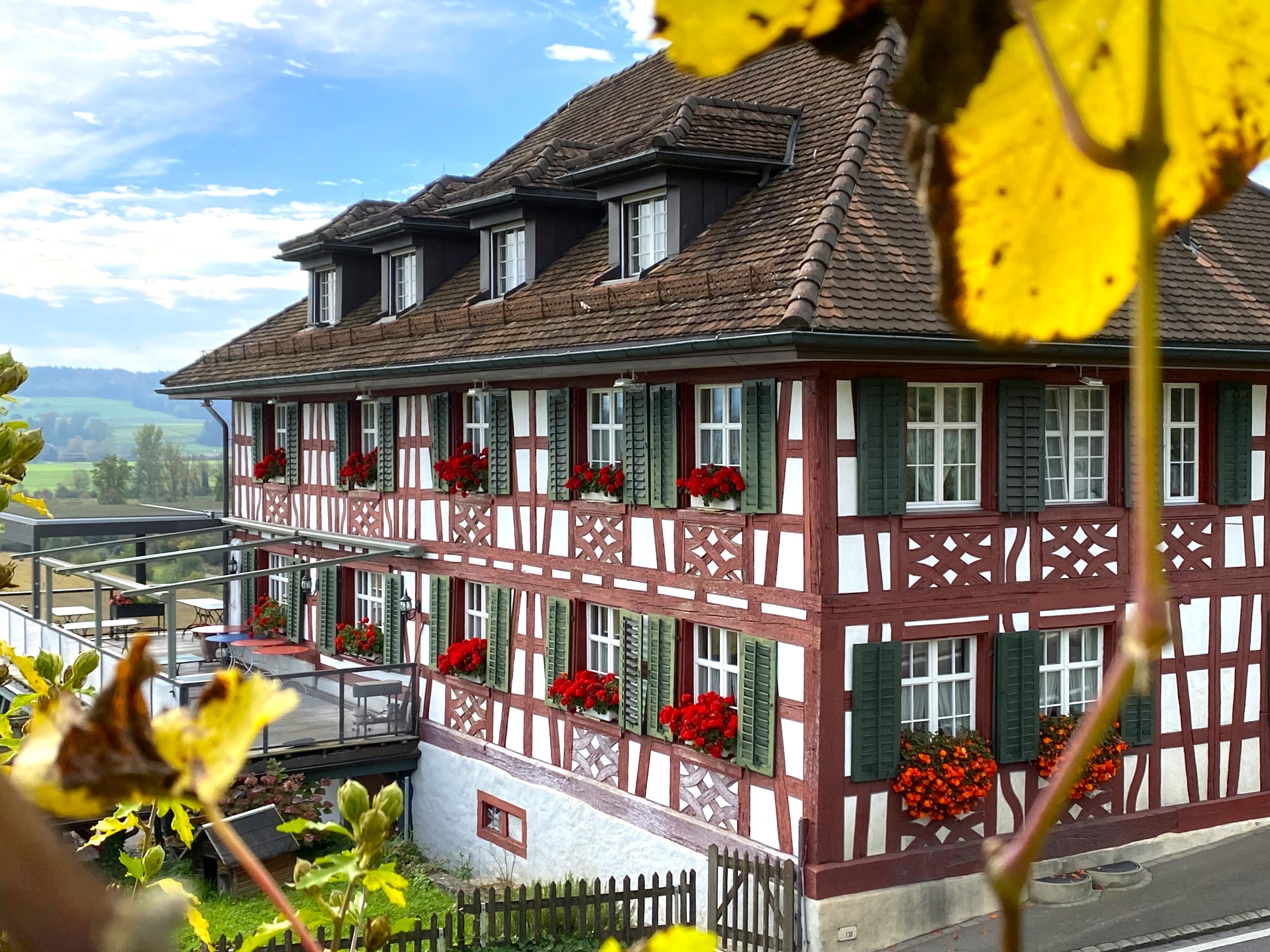 Hotel Immobilien - Landeszuordnung: Schweiz - Ausflugsrestaurant Traube Dietingen